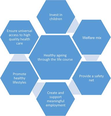 Reducing Health Inequalities in Aging Through Policy Frameworks and Interventions